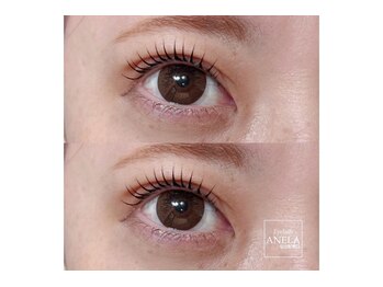 アネラ 青森浜田店(ANELA)/まつ毛パーマ