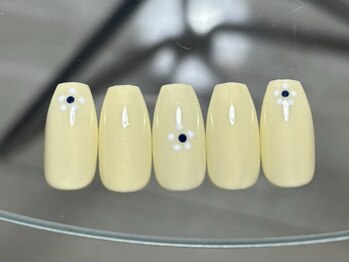 ミーコ(miico)/定額デザイン