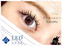 バニーラッシュ(Bunny Lash)/【アンドヘルシー/LEDマツエク】