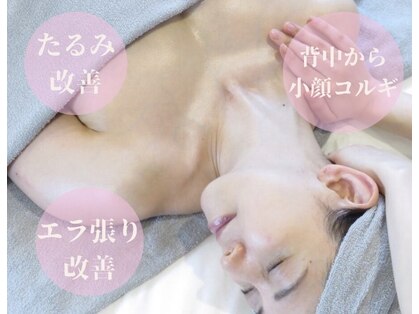 ソラ(sora)の写真