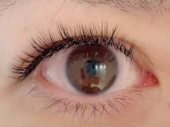 カラン 焼津店(CALIN)/ボリュームラッシュ100束