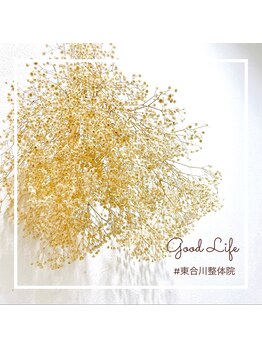 東合川はりきゅう整骨院/ドライフラワー