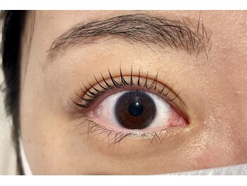 ノアサロン(noah.salon)/ラッシュリフト