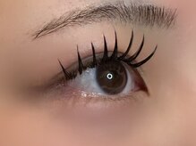 フリー#240(Free#240)/ダブルフラット240本