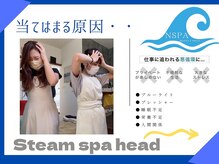 エヌスパ(NSPA)/4 ＮＳＰＡ Steam spa head