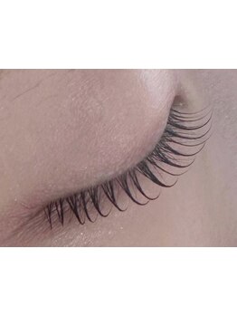 初めての方にオススメ