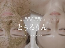 とぅるりん 肌質改善