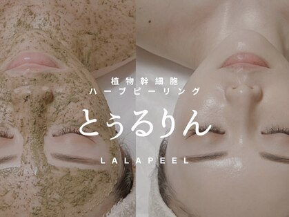 とぅるりん 肌質改善の写真