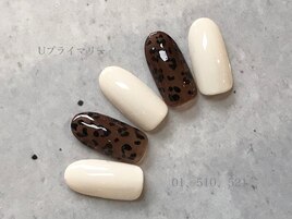 プライマリーコース