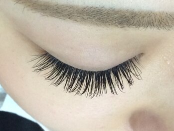 シュシュ(chou chou)/セーブル200本