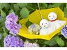 【6月限定クーポン♪】梅雨のだるさに☆もみほぐし+ヘッドスパ　60分 ￥5,830