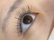 ディレット(DILETTO)/ボリュームドールラッシュ