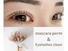 【☆贅沢セット☆】ラッシュリフト＆マスカラパーマ＆アイシャンプ6850→6500