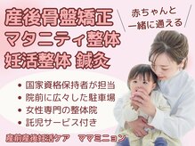 整体 ママミニョン