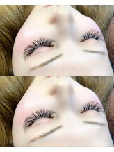 プラータ(PLATA)/Vol 500本