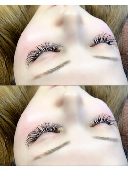 プラータ(PLATA)/Vol 500本