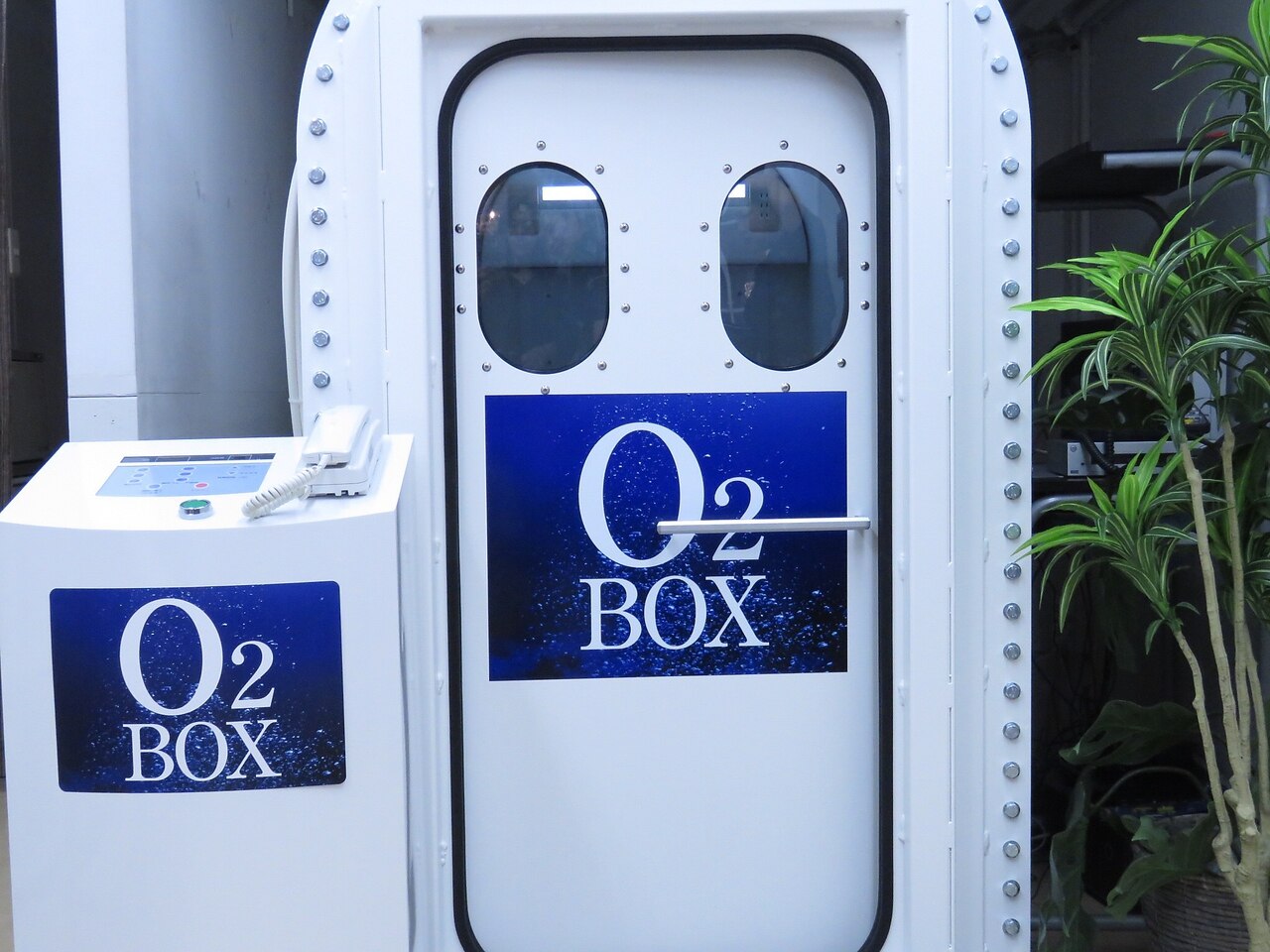 【リンさん専用ページ】【新品未使用】ローカル　上クチビル　人間　そばかす付き L-シトルリン、750mg、ベジカプセル90粒