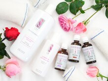 アントレ ベニヤ/ポールシェリーボディ