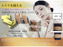 ディライト 名古屋駅店(Delight)の雰囲気（韓国肌管理人気No.1LHALA Peel （ララピール、レモンボトル））