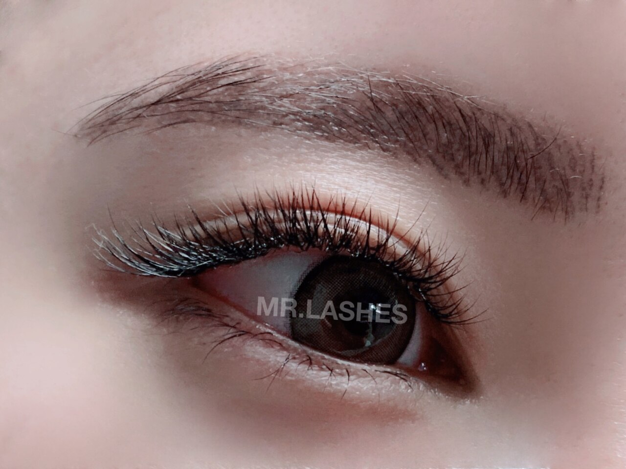 【3週間以内】Classy Lash付足し　color＋\1100/2500