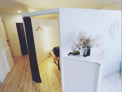 ムク(MUKU)の写真