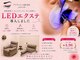 アイアイ(eye eye)の写真
