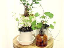 サロン ロータス(Lotus)/アーユルヴェーダハーブ