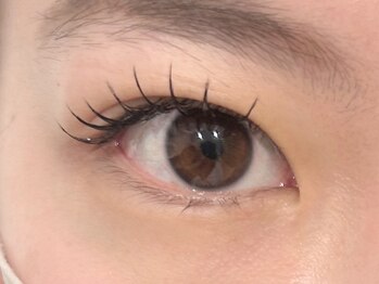 ネオリーブ ウリ(Neolive uri)/フラットラッシュ100本