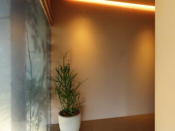 ムー 目黒区祐天寺(Muuu)/よもぎ蒸し/中目黒