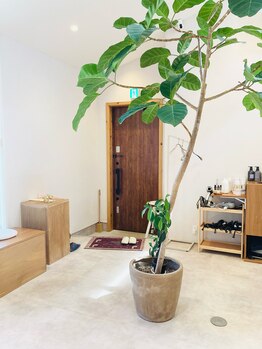 ナンバーニイチニハチ(No.2128)/サロン内観