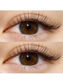 トワレ(Toware)/フラットラッシュ