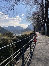 ルアナ 半蔵門(luana)/周辺散歩コース