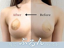 エクラニーク(Eclanique)/バストアップ！美バスト！