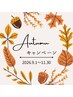 【秋のキャンペーン】 上まつげシングルエクステつけ放題!(160本迄OK)