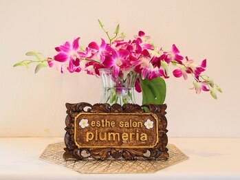 エステサロン プルメリア(plumeria)/
