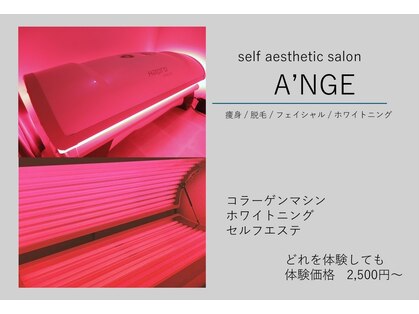 アンジュ(A’NGE)の写真