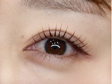 タジサスラッシュ(TAJISAS LASH)