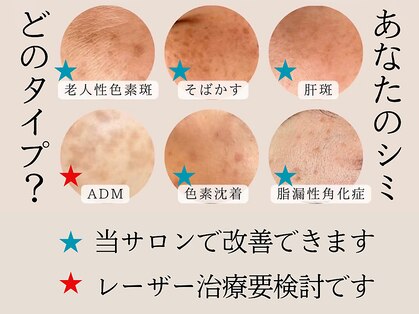 ティーツリー 名古屋 桜山(Tea Tree)の写真