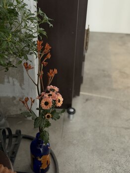 ダフネ(DAFNE)/待合