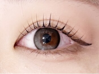 アイビーラッシュ(Eye be Lush)/まつ毛カール