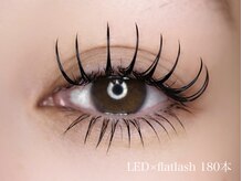 ココズルーム(KOKO's Room)/LED×フラットラッシュ