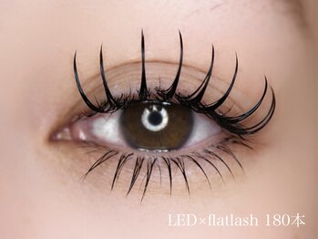 ココズルーム(KOKO's Room)/LED×フラットラッシュ
