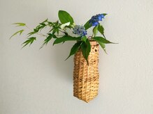 こうのせいたい/半夏生、青楓、山紫陽花