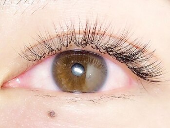 ココラッシュ 伊勢佐木(cocolash)の写真/【高技術・高持続☆】お客様の目元に合ったカールをご提案♪まつげに優しい商材を使用で、しっかり長持ち◎