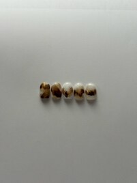 ファストジェル定額27