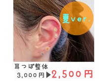 セルフリライアンスの雰囲気（【期間限定パーツ】耳つぼ整体で骨格を整える！肩こり/腰痛/整体）