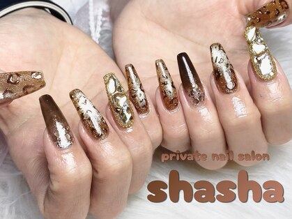 シャシャ(shasha)の写真