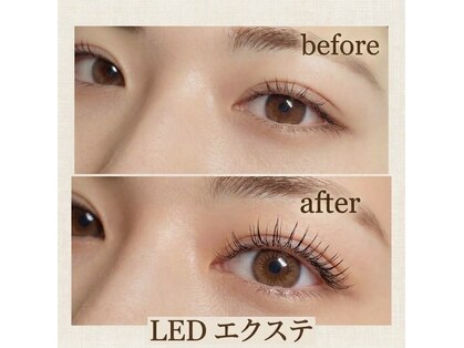 アンドシー(and C)の写真