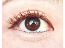 ベル(Belle)/フラットラッシュ/カラー