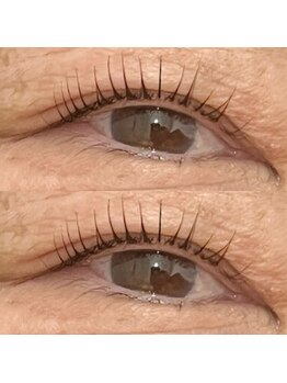 ピピラッシュ(pipi lash)/ラッシュリフト